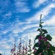 ヒメ日記 2025/06/29 10:40 投稿 有栖【ありす】 丸妻 西船橋店