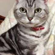 ヒメ日記 2025/06/30 11:03 投稿 有栖【ありす】 丸妻 西船橋店