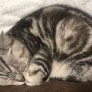 ヒメ日記 2025/08/17 20:51 投稿 有栖【ありす】 丸妻 西船橋店