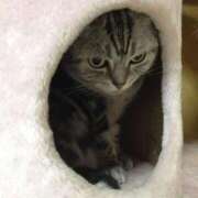 ヒメ日記 2025/10/23 22:13 投稿 有栖【ありす】 丸妻 西船橋店