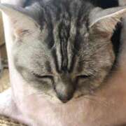 ヒメ日記 2025/10/27 07:43 投稿 有栖【ありす】 丸妻 西船橋店