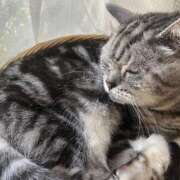 ヒメ日記 2025/11/01 11:15 投稿 有栖【ありす】 丸妻 西船橋店