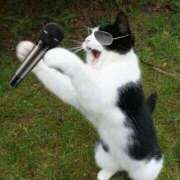 有栖【ありす】 あぁ( ･ᯅ･  ) 丸妻 西船橋店