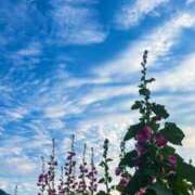 ヒメ日記 2026/02/26 09:07 投稿 有栖【ありす】 丸妻 西船橋店