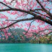 ヒメ日記 2026/04/06 00:36 投稿 有栖【ありす】 丸妻 西船橋店