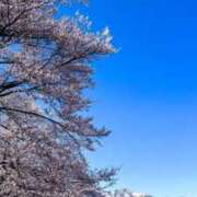 ヒメ日記 2026/04/13 08:38 投稿 有栖【ありす】 丸妻 西船橋店