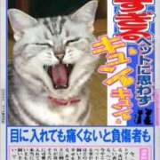 ヒメ日記 2026/04/19 08:25 投稿 有栖【ありす】 丸妻 西船橋店