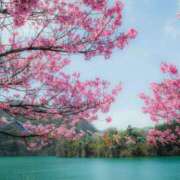 有栖【ありす】 🙏すみません🙏 丸妻 西船橋店
