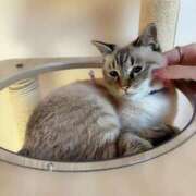 ヒメ日記 2025/08/22 15:48 投稿 ラン OPELA（オペラ）