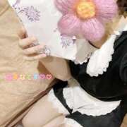 ヒメ日記 2025/07/06 19:00 投稿 なずな アリスカフェ