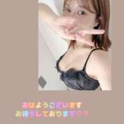 ヒメ日記 2025/09/28 12:04 投稿 なずな アリスカフェ