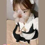 ヒメ日記 2025/09/28 14:31 投稿 なずな アリスカフェ