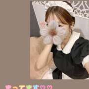 ヒメ日記 2025/10/02 14:55 投稿 なずな アリスカフェ