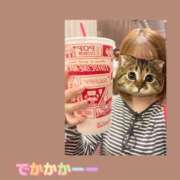 ヒメ日記 2025/10/03 18:30 投稿 なずな アリスカフェ