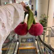 ヒメ日記 2025/10/23 14:21 投稿 なずな アリスカフェ