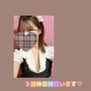 ヒメ日記 2025/11/03 13:45 投稿 なずな アリスカフェ