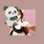 ヒメ日記 2025/11/03 18:35 投稿 なずな アリスカフェ