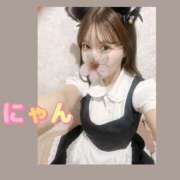 ヒメ日記 2025/11/24 15:36 投稿 なずな アリスカフェ