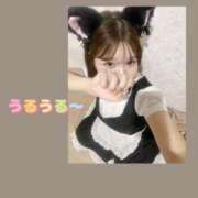 ヒメ日記 2025/12/01 21:00 投稿 なずな アリスカフェ