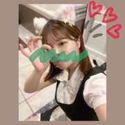 なずな 12/20！います❣️❣️ アリスカフェ