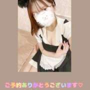 ヒメ日記 2025/12/30 14:07 投稿 なずな アリスカフェ