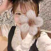 なずな お久しぶりです👐 アリスカフェ