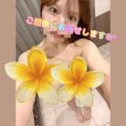 ヒメ日記 2026/03/22 21:46 投稿 なずな アリスカフェ