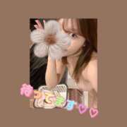 ヒメ日記 2026/03/23 20:35 投稿 なずな アリスカフェ