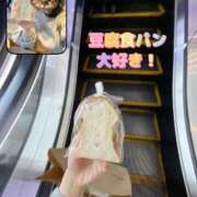 ヒメ日記 2026/04/12 15:02 投稿 なずな アリスカフェ