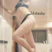 ヒメ日記 2025/06/26 11:39 投稿 ヨツバ ルパン