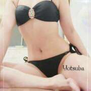 ヒメ日記 2025/07/25 09:22 投稿 ヨツバ ルパン