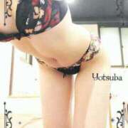 ヒメ日記 2026/02/21 19:17 投稿 ヨツバ ルパン