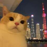 ヒメ日記 2025/06/21 17:32 投稿 なのは 神田はっち