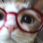 ヒメ日記 2025/07/04 19:54 投稿 なのは 神田はっち