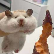 ヒメ日記 2025/08/20 19:03 投稿 なのは 神田はっち