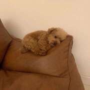 ヒメ日記 2025/08/27 13:05 投稿 なのは 神田はっち