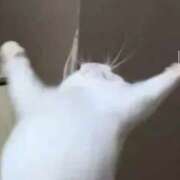 ヒメ日記 2025/09/04 23:26 投稿 なのは 神田はっち