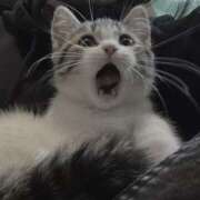 ヒメ日記 2025/09/16 18:04 投稿 なのは 神田はっち