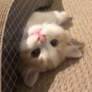 ヒメ日記 2025/09/23 00:29 投稿 なのは 神田はっち