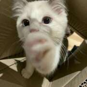 ヒメ日記 2025/10/02 02:17 投稿 なのは 神田はっち