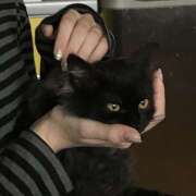 ヒメ日記 2025/10/06 18:06 投稿 なのは 神田はっち