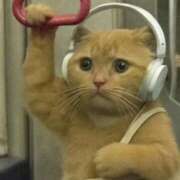 ヒメ日記 2025/10/07 01:04 投稿 なのは 神田はっち