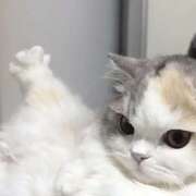 ヒメ日記 2025/10/07 19:35 投稿 なのは 神田はっち