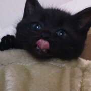 ヒメ日記 2025/10/14 20:10 投稿 なのは 神田はっち