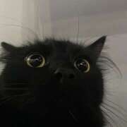 ヒメ日記 2025/10/15 00:30 投稿 なのは 神田はっち