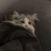 ヒメ日記 2025/10/20 20:05 投稿 なのは 神田はっち