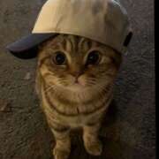 ヒメ日記 2025/11/21 18:25 投稿 なのは 神田はっち