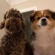 ヒメ日記 2025/12/12 00:30 投稿 なのは 神田はっち