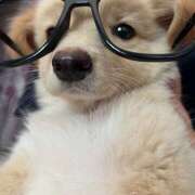 ヒメ日記 2025/12/30 18:21 投稿 なのは 神田はっち