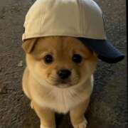 ヒメ日記 2026/01/04 18:51 投稿 なのは 神田はっち